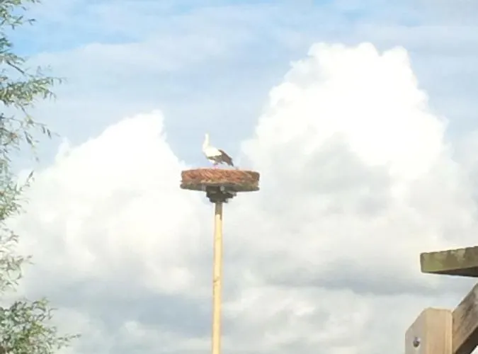 Alojamento de Acomodação e Pequeno-almoço Hoeve Cornelia Berkel en Rodenrijs