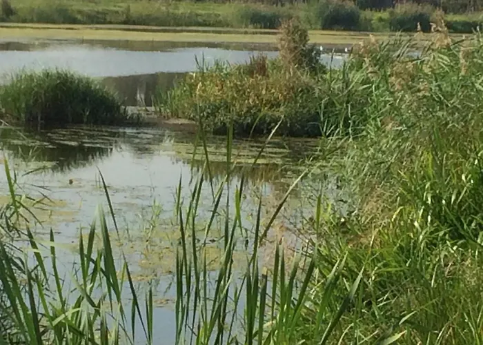 Alojamento de Acomodação e Pequeno-almoço Hoeve Cornelia