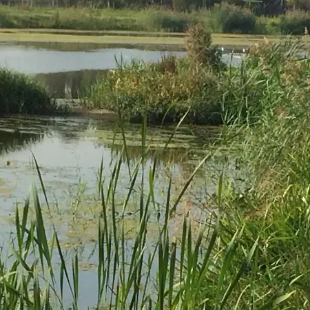 Bed & Breakfast Hoeve Cornelia