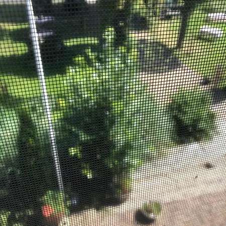 Hoeve Cornelia Bed & Breakfast Berkel en Rodenrijs