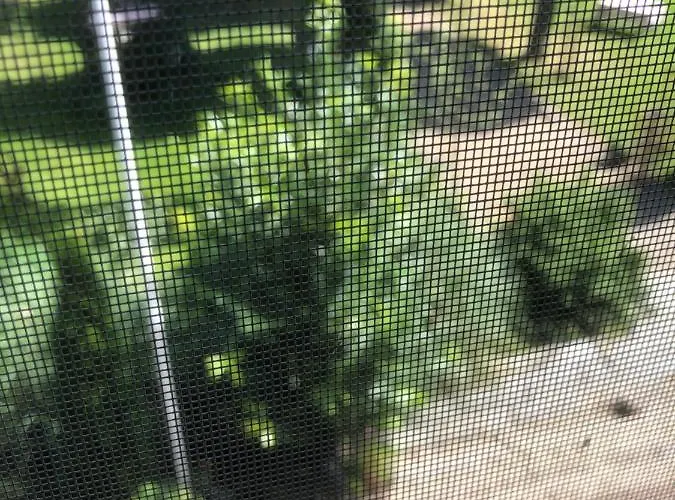 Hoeve Cornelia Oda ve Kahvaltı Berkel en Rodenrijs